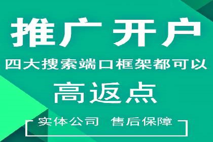SEM优化策略：案例解读成功之道
